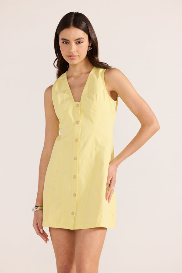 Citron Denim Dress