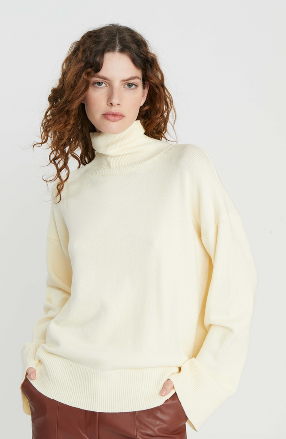 Winter Turtleneck Sweater